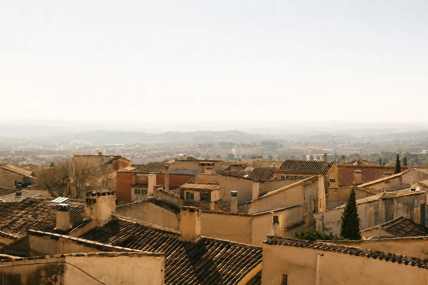 Tejados de teja árabe de un barrio visto desde arriba, con el valle difuminado al fondo